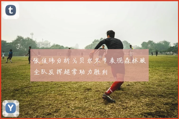 张佳玮分析戈贝尔末节表现森林狼全队发挥超常助力胜利