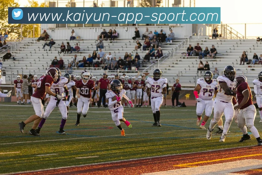 开云体育平台生态图